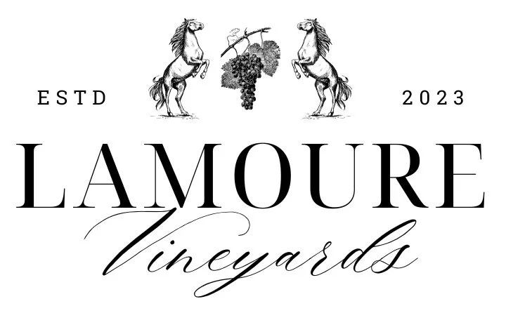 lamoure vineyards wedding venue coaching client